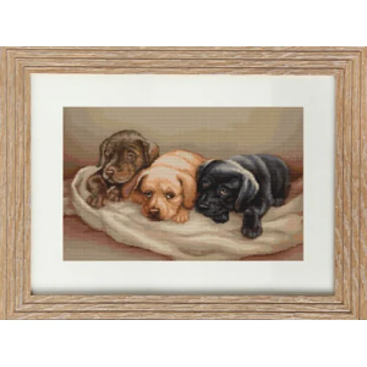 B434 Три собачки. Набор для вышивки нитками. Luca-s