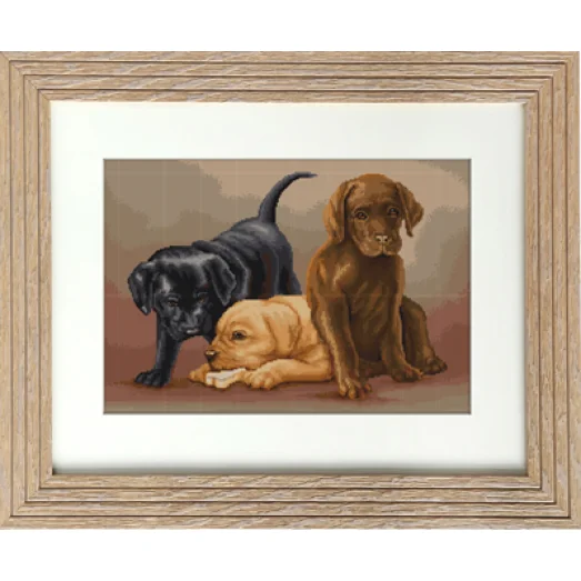 B435 Собачки. Набор для вышивки нитками. Luca-s