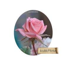РТ130064м Роза. Техника Папертоль