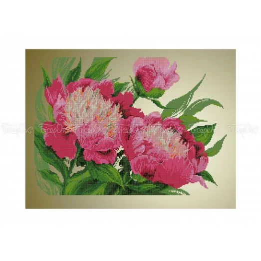 ЧВ-6046 (40*45) Розовые пионы. Схема для вышивки бисером. Бисерок