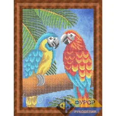 ФР-ЖБч4-084 Попугаи на ветке. Схема для вышивки бисером ТМ Фурор Рукоделия