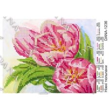 ДАНА-1236 Нежные тюльпаны. Схема для вышивки бисером