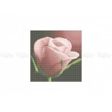 30-335 (30*40) Нежная роза. Схема для вышивки бисером Бисерок