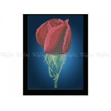 30-401 (20*25) Цветение розы. Схема для вышивки бисером Бисерок