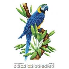 ДАНА-0275 Красочный попугай. Схема для вышивки бисером