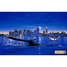 РТ150062 Киты. Техника Папертоль