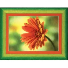 РК-025 Гербера. Набор для вышивки крестом ТМ Чаривна Мить