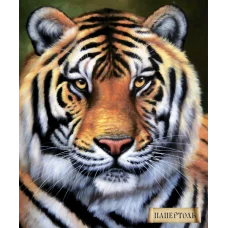 РТ150065 Тигр. Техника Папертоль
