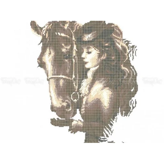 ЧВ-6025 Амазонка. Схема для вышивки бисером. Бисерок