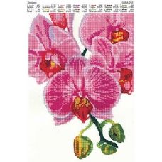 ДАНА-0292 Орхидея. Схема для вышивки бисером
