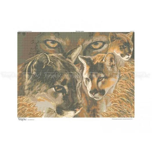 ЧВ-7041 Взгляд пумы. Схема для вышивки бисером. Бисерок