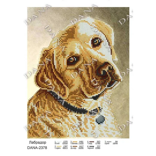ДАНА-2378 Лабрадор. Схема для вышивки бисером