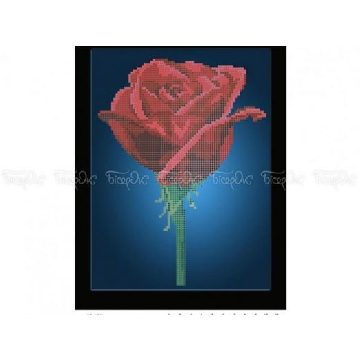 30-402 (20*25) Цветение розы. Схема для вышивки бисером Бисерок