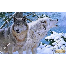 РТ150082 Пара волков. Техника Папертоль