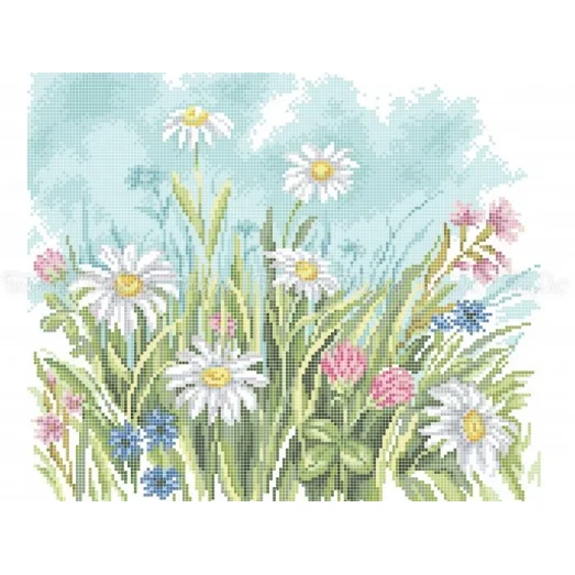 ЧВ-6045 (40*45) Поле ромашок. Схема для вышивки бисером. Бисерок