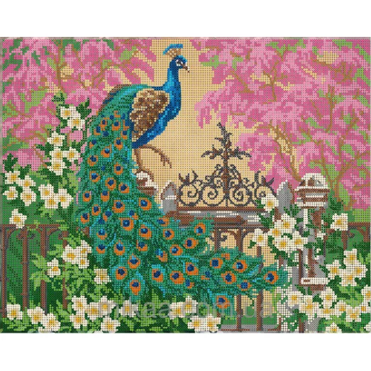 МИКА-0384 (А3) Павлин-мавлин. Схема для вышивки бисером