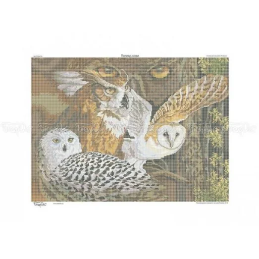 ЧВ-7039 Взгляд совы. Схема для вышивки бисером. Бисерок