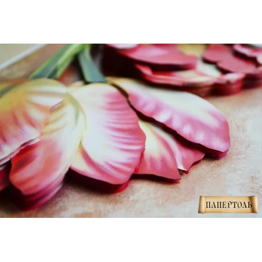 РТ150119 Триумф 1. Техника Папертоль