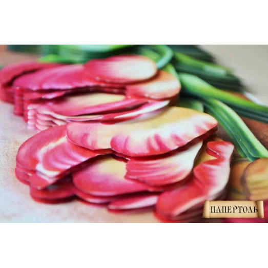 РТ150120 Триумф 2. Техника Папертоль