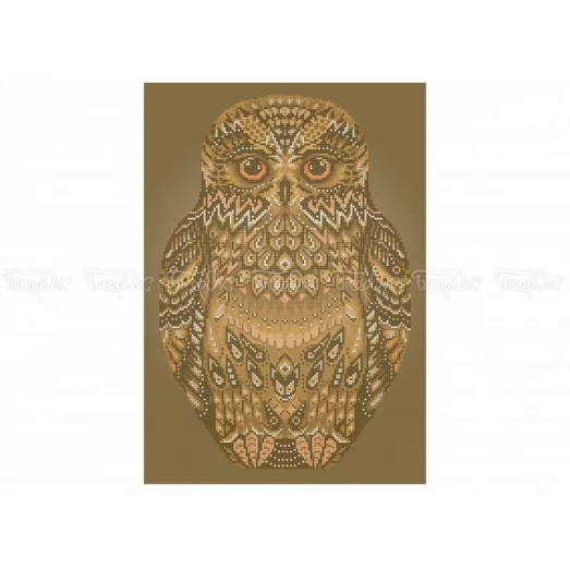 70-309 (30*40) Сова. Схема для вышивки бисером Бисерок
