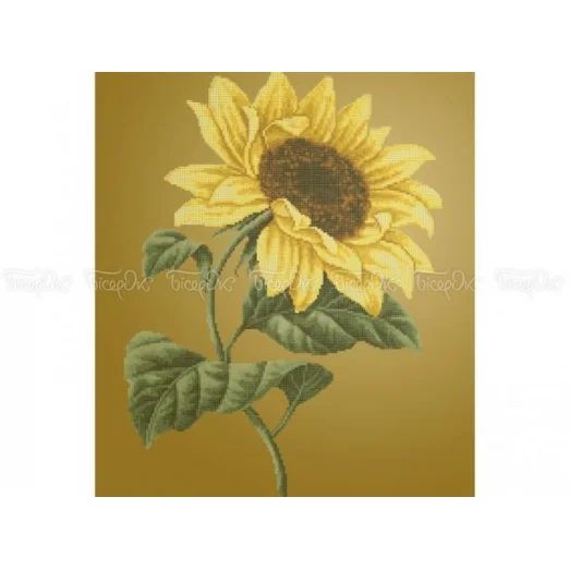 ЧВ-6065 (40*45) Подсолнух. Схема для вышивки бисером. Бисерок