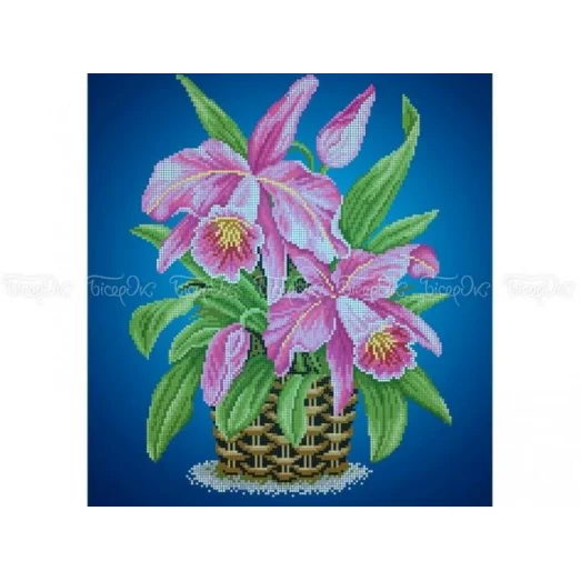 ЧВ-6015(10) Орхидея Каттлея Синий фон. Схема для вышивки бисером Бисерок