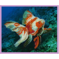 Р-240 Золотая рыбка. Набор для вышивки бисером. ТМ Картины Бисером