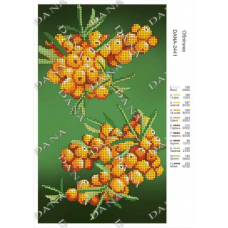 Дана-2441 Облепиха Схема для вышивки бисером