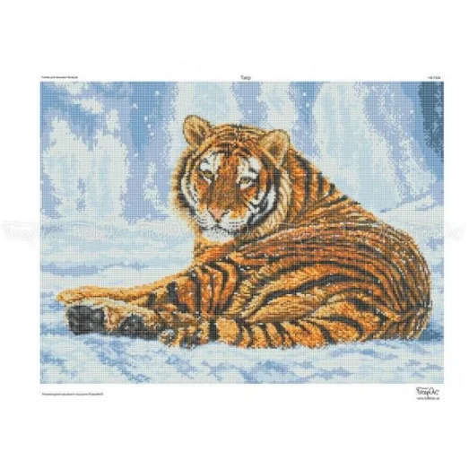 ЧВ-7038 Тигр. Схема для вышивки бисером. Бисерок