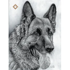 СЛ-3183 Мухтар. Схема для вышивки бисером ТМ Миледи