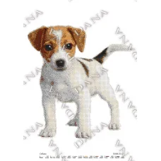 ДАНА-3212 Джек рассел терьер. Схема для вышивки бисером