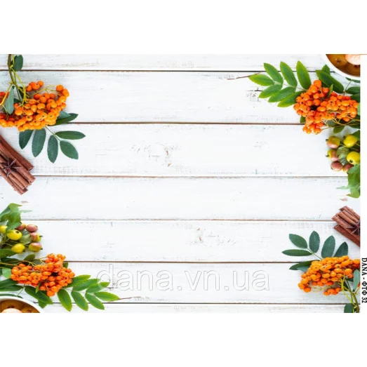 ДАНА-ФТФ-32 Фотофон нанесенный на габардин