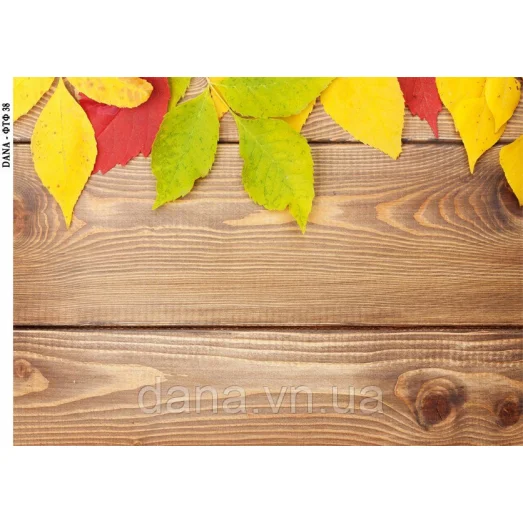 ДАНА-ФТФ-38 Фотофон нанесенный на габардин