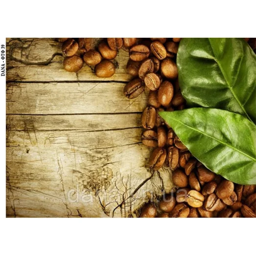 ДАНА-ФТФ-39 Фотофон нанесенный на габардин