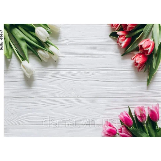 ДАНА-ФТФ-47 Фотофон нанесенный на габардин