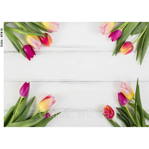 ДАНА-ФТФ-54 Фотофон нанесенный на габардин