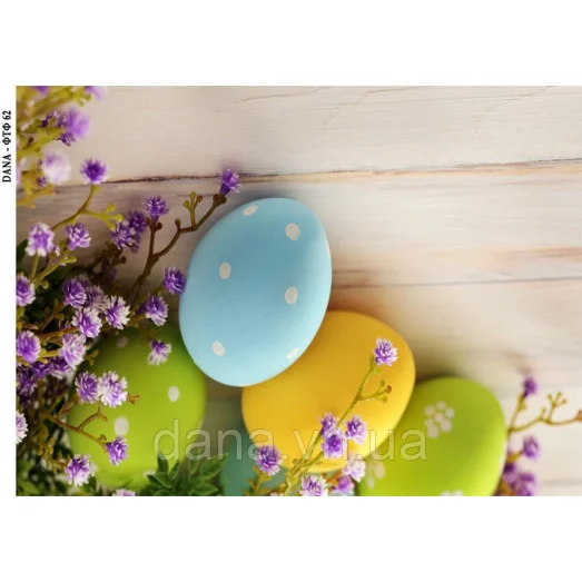 ДАНА-ФТФ-62 Фотофон нанесенный на габардин