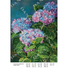 Дана-3497 Гортензия-хамелион. Схема для вышивки бисером