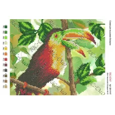 А4Н_313 БК-4147 Жако. Схема для вышивки бисером ТМ Virena 