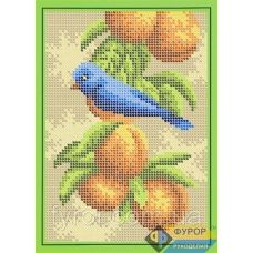ФР-ДБп5-076 Птичка на яблоне. Схема для вышивки бисером ТМ Фурор Рукоделия