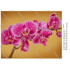 ДАНА-3345 Орхидея. Схема для вышивки бисером