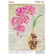 ЮМА-4397 Схема для вышивки бисером Орхидея