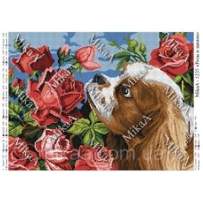 МИКА-1235 (А3) Розы и щенок. Схема для вышивки бисером