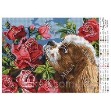 МИКА-1236 (А4) Розы и щенок. Схема для вышивки бисером