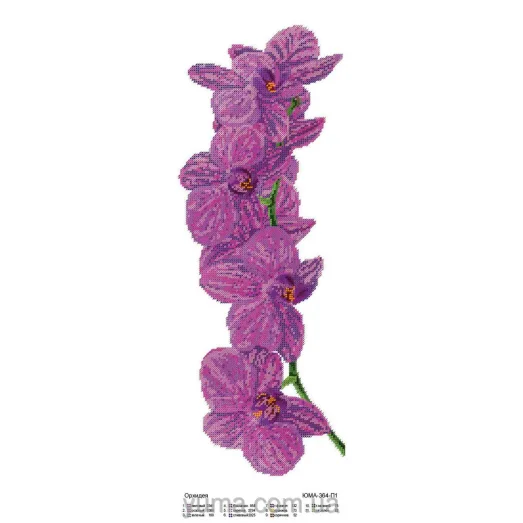 ЮМА-364-Р1 Орхидеи фон белый. Схема для вышивки бисером