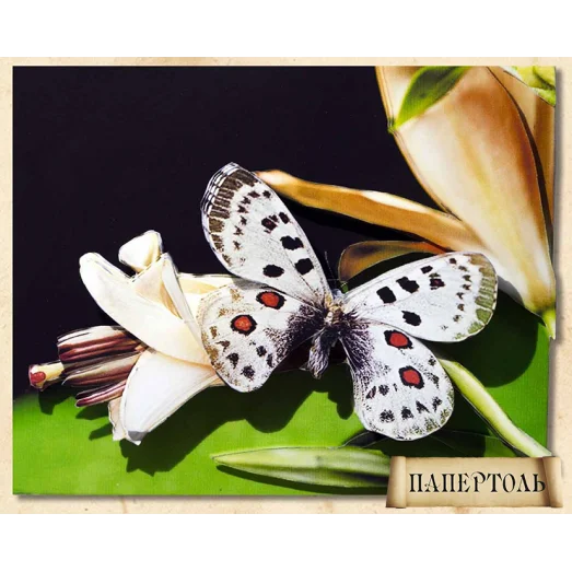 РТ140006 Бабочка. Техника Папертоль