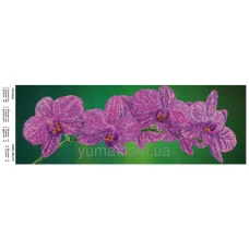 ЮМА-364-Р4 Орхидеи 2 фон зеленый. Схема для вышивки бисером 