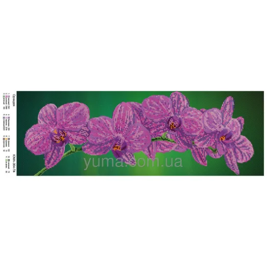 ЮМА-364-Р4 Орхидеи 2 фон зеленый. Схема для вышивки бисером