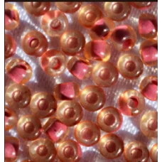 80827 Бисер Preciosa 