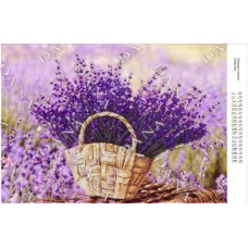 ДАНА-820 Лаванда в корзине. Схема для вышивки бисером